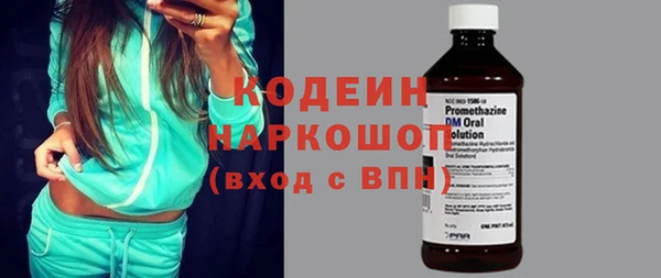 прущий лед Алзамай