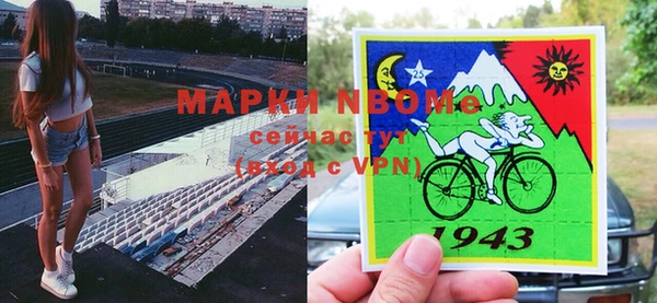 прущий лед Алзамай