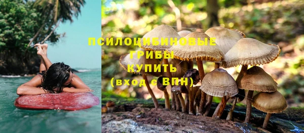 синтетический гашиш Алексеевка