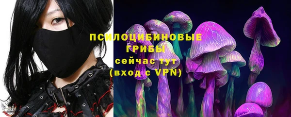 a pvp Алексин
